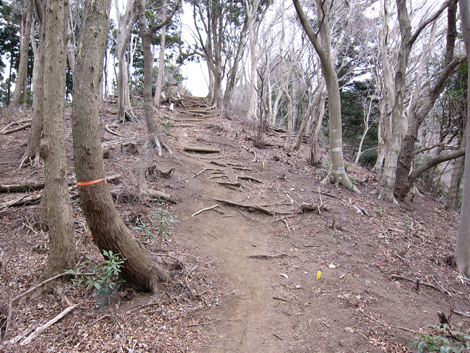20190214hike (290)